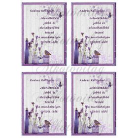 Levendulás Kollégának