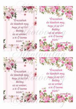 Érezzétek és lássátok 4 db