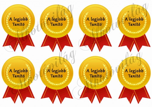 A legjobb Tanító - érem