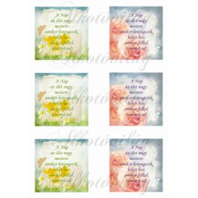 A nap az élet... idézet virágos alapokon négyzetekben