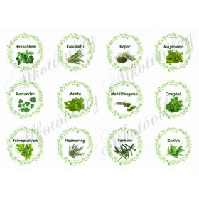 Fűszerek zöld leveles koszorúkban