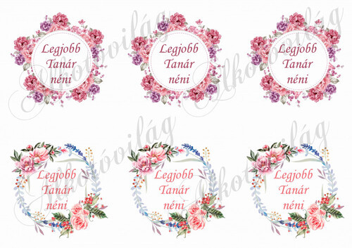 Legjobb Tanár néni virágos koszorúban