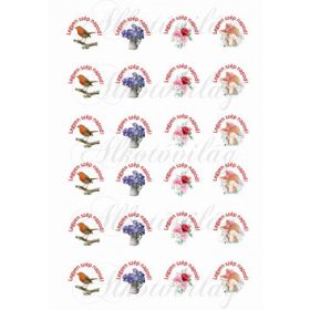 Legyen szép napod körökben