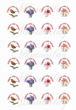 Legyen szép napod körökben