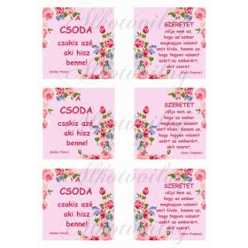   Motivációs idézetek apró pöttyös négyzetekben rózsás sarkokkal