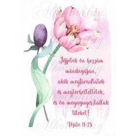   Jöjjetek én hozzám... bibliai idézet rózsaszín tulipánnal