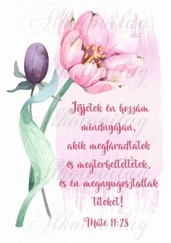 Jöjjetek én hozzám... bibliai idézet rózsaszín tulipánnal