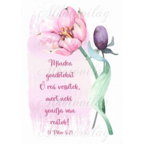 Minden gondotokat... bibliai idézet rózsaszín tulipánnal
