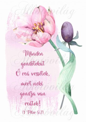 Minden gondotokat... bibliai idézet rózsaszín tulipánnal