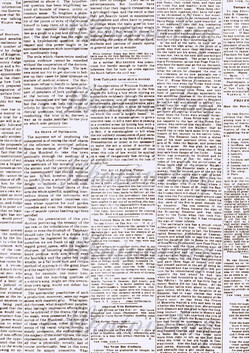 Gépelt szöveg fehér háttérrel