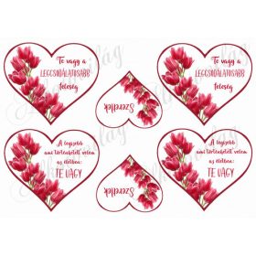   Szívek tulipánokkal + kedves feliratokkal fehér háttérrel