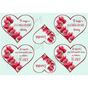   Szívek tulipánokkal + kedves feliratokkal világoskék háttérrel