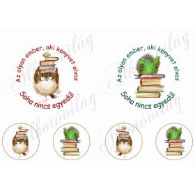   Az olyan ember, aki könyvet olvas idézet 11-14 cm-es hímzőkerethez baglyokkal