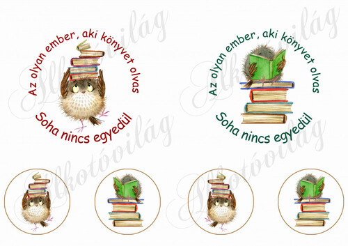 Az olyan ember, aki könyvet olvas idézet 11-14 cm-es hímzőkerethez baglyokkal