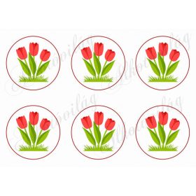 Ovis jelek - TULIPÁN