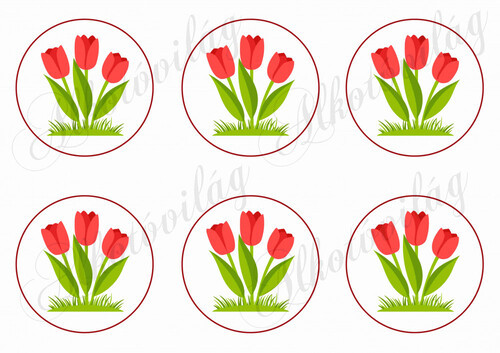 Ovis jelek - TULIPÁN