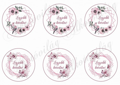 Legjobb barátnő rószaszín virágos és madárkás körökben