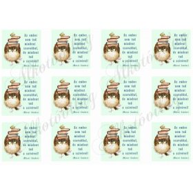 Az ember nem tud mindent idézet könyves bagollyal