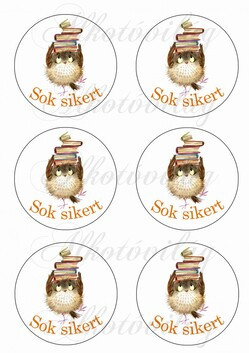 Kör alapok cuki bagollyal és könyvekkel- SOK SIKERT felirattal