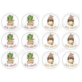   Kör alapok könyves baglyokkal - SOK SIKERT felirattal kicsiben