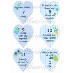 Mérföldkő kártyák születéshez fiús 7-12 hó ikreknek