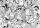 Kaktuszok feketén-fehéren