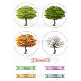 Évszakok fákkal és feliratokkal