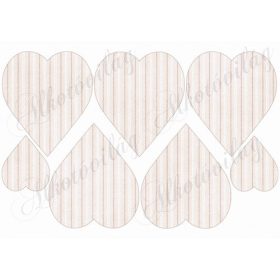 Cica tavaszi kompozícióban - HÁTULJA