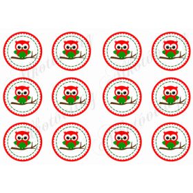 Cuki bagoly kokárdák