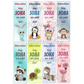   Motivációs könyvjelzők - SIKERÜLNI FOG SOHA NE ADD FEL felirattal