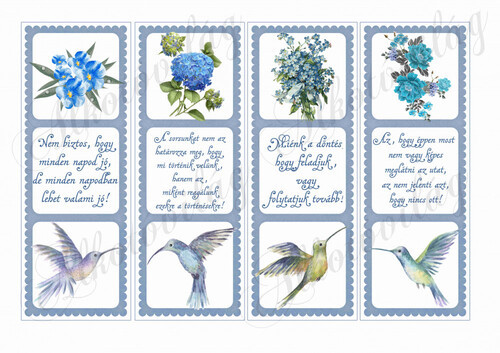 Könyvjelzők motivációs idézetekkel NAGYBAN fiús színekkel