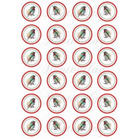 Kokárdák akvarell stílusban festett madárkákkal - 4 cm