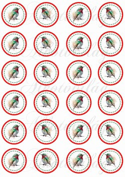 Kokárdák akvarell stílusban festett madárkákkal - 4 cm