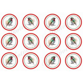 Kokárdák akvarell stílusban festett madárkákkal