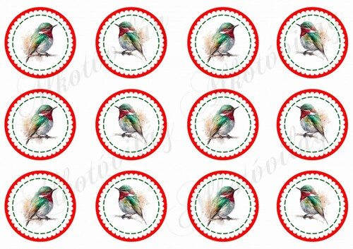 Kokárdák akvarell stílusban festett madárkákkal