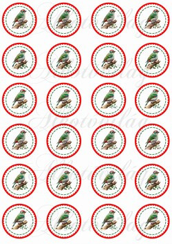 Kokárdák három féle madárkával 4 cm