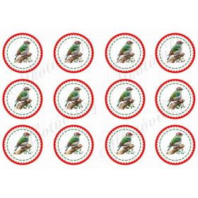 Kokárdák három féle madárkával