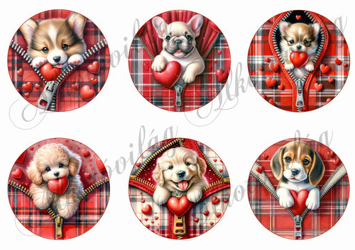 Cuki kutyusok zippzárban - VALENTIN napra-8,5 cm