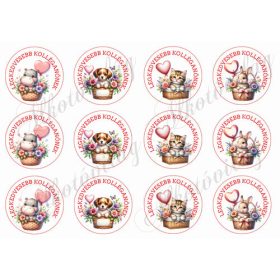   Cuki állatkák lufikkal - LEGKEDVESEBB KOLLÉGANŐNEKK felirattal 6 cm-es körökben