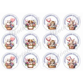   Cuki állatkák lufikkal - LEGKEDVESEBB KOLLÉGÁNAK felirattal 6 cm-es körökben