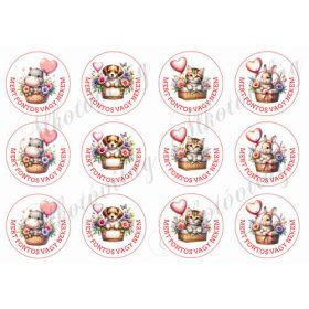   Cuki állatkák lufikkal - MERT FONTOS VAGY NEKEM elirattal 6 cm-es körökben