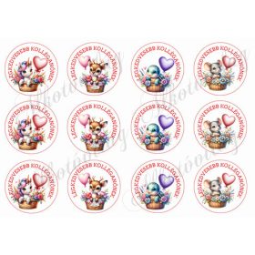   Cuki állatkák lufikkal 2 - LEGKEDVESEBB KOLLÉGANŐNEKK felirattal 6 cm-es körökben