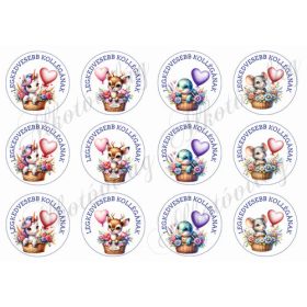   Cuki állatkák lufikkal 2 - LEGKEDVESEBB KOLLÉGÁNAK felirattal 6 cm-es körökben