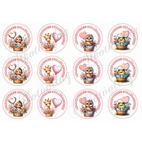   Cuki állatkák lufikkal 3 - LEGKEDVESEBB KOLLÉGANŐNEKK felirattal 6 cm-es körökben