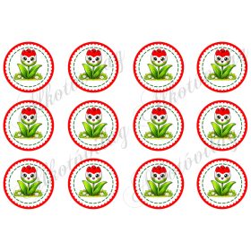 Kokárdák cuki tulipánokkal 6 cm-es körökben