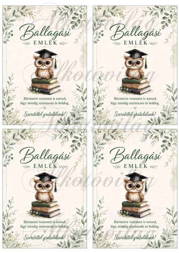 Ballagási gratulációs lapok 14 x 10 cm - 2. változat