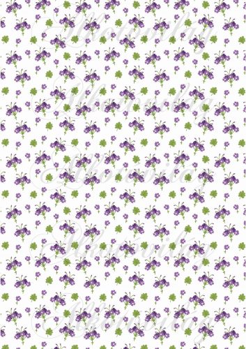 small purple flowers with green leaves on a white background