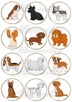 Kutyusok karikákban