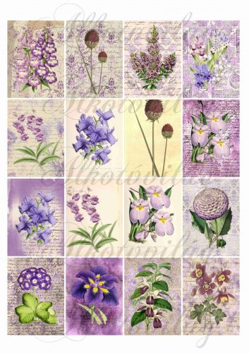 Gyönyörű virágos kártyák lila árnyalatban 6,5 x 5 cm