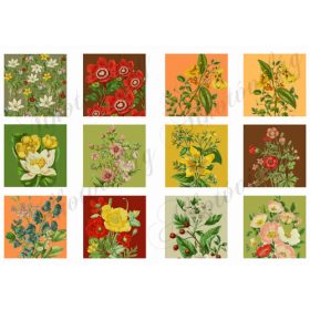 Szépséges virágok négyzetekben 6x6cm
